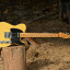 Fender Telecaster Custom Shop 1951 Nocaster Relic (2005)