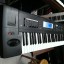 Sintetizador Korg TR 61 Music Workstation + Sampler REBAJADO