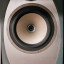 Altavoces Profesionales TANNOY PRECISION 8D