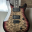 Prs Mark Holcomb