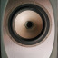 Altavoces Profesionales TANNOY PRECISION 8D