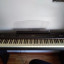 Piano PDP500