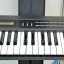 Roland Alpha Juno 2