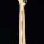 Fender Telecaster Cabronita Tele-Bration 2011