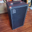 ampeg micro cl 100 watt 2x10 bajo