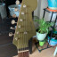 Guitarra Acústica Fender Newporter
