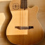 Godin Multiac Nylon Encore Natur
