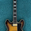 Epiphone Sheraton Elite