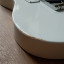 Cuerpo Swamp Ash (MJT) telecaster completo