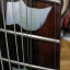 Se cambia guitarra Ibanez 8 cuerdas multiescala RGIM8MH