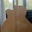 Takamine EG523 SC