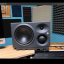 Monitores de estudio Neumann KH 310A