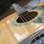 Takamine EG523 SC