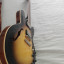 REGALADA Gibson ES 335 DOT