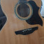 Takamine EG523 SC