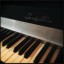 Rhodes Piano Eléctrico
