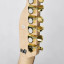 Harley Benton TE-40 TBK Deluxe Series