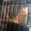 Set EMG 81 + EMG 57 cambio por set Gibson doradas (o vendo)