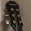 Epiphone SQ-180 Neil Diamond Edición Limitada 1999 - Black Metallic Sparkle