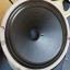 Dos Celestion G12M-25 Greenback 16 Ohm