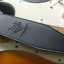 Fender Stratocaster 2006 MIM