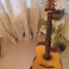 Guitarra Alhambra W-2 CW A B E3 Electroacústica