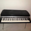 FENDER RHODES MARK II 73 teclas + AMPLI FENDER 20w