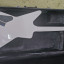 Epiphone explorer 1984