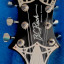 B. C. Rich Warlock Spider, Special Edition