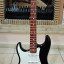 Fender stratocaster Player México zurdos