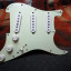 Golpeador Fender Custom Shop Texas Special  Precableado Strato SSS  .usa