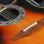 Ovation USA Custon Legen  1869
