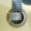 Guitarra camps NAC 4