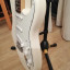 Fender stratocaster standard con tex mex
