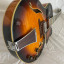 Ibanez af195 2004