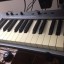 M-AUDIO ProKeys SONO 88 (Piano, controlador e interface de audio)