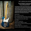 Fender custom shop Limited Relic® Bigsby® Telecaster@