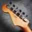 Fender Stratocaster STD MIM