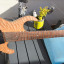 Conklin Custom Sidewinder 8 strings / 3 octaves (2002)