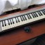 Teclado MIDI Roland PC 200 MkII