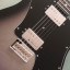 Fender Telecaster FSR American Professional Deluxe Silverburst: