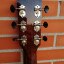 Fender paramount deluxe parlor pm2