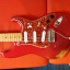 Fender Stratocaster (American Standard + Reverse Voodoo Neck)