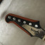 Gibson Firebird Guitar of the week #24