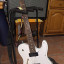 Fender Telecaster Jim adkins, de tienda.