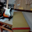 Fender Stratocaster MIM