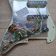 Fender Stratocaster american american partcaster