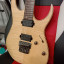 Ibanez rg 721 fm