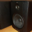 monitores M-Audio BX5 D2