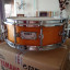 Caixa Mapex Saturn Pro 14x5. Estat de concurs.